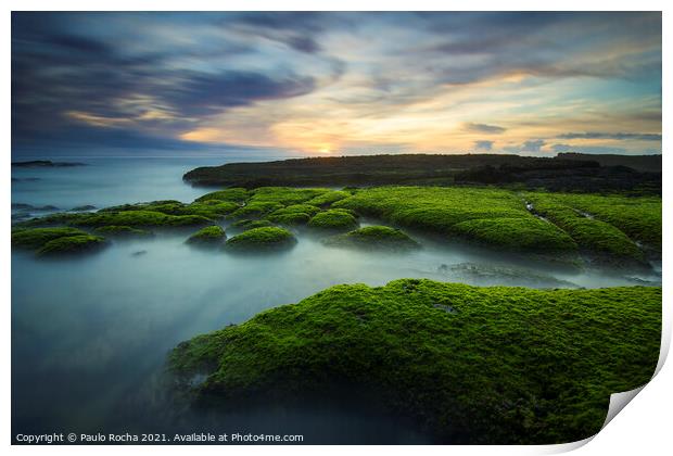 Green moss covered rocks in Magoito beach at sunset - Sintra, Portugal Print by Paulo Rocha
