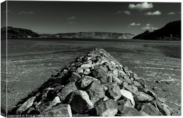 Black and White Rock Wall  Canvas Print by Errol D'Souza