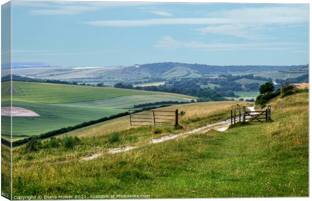 South Downs view East Sussex Canvas Print by Diana Mower