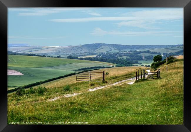 South Downs view East Sussex Framed Print by Diana Mower