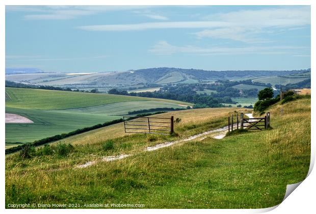 South Downs view East Sussex Print by Diana Mower