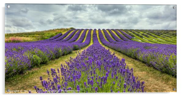 Scottish Lavender Acrylic by Jim Monk