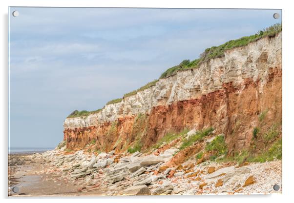 Hunstanton cliffs at low tide Acrylic by Jason Wells