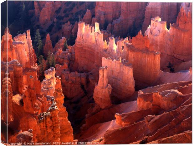 Backlit Hoodoos from Inspiration Point Bryce Canyon Canvas Print by Mark Sunderland
