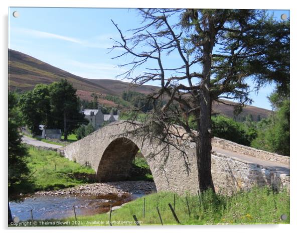 Historic Gairnshiel Bridge Acrylic by Thelma Blewitt