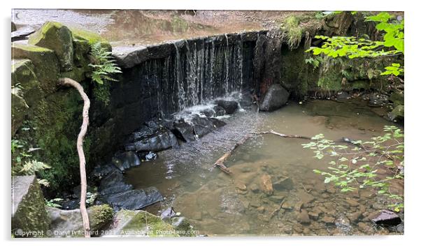 Knypersley waterfall Acrylic by Daryl Pritchard videos