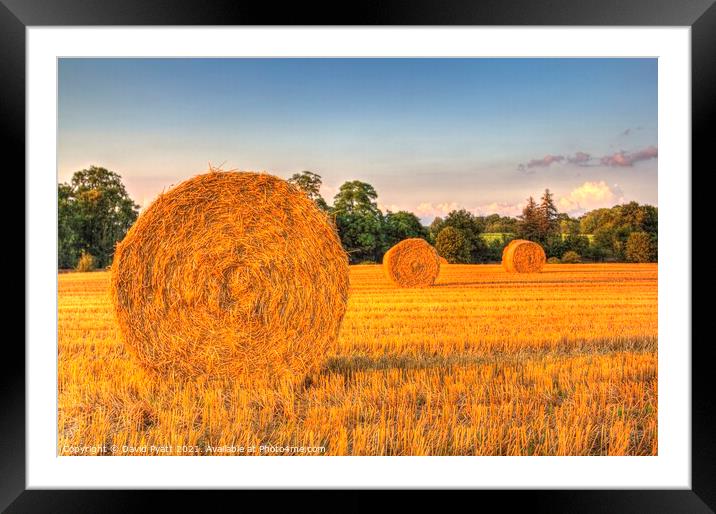 Sunset Farm Harvest  Framed Mounted Print by David Pyatt