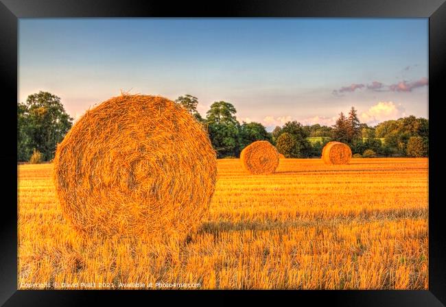 Sunset Farm Harvest  Framed Print by David Pyatt