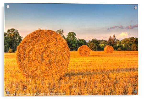 Sunset Farm Harvest  Acrylic by David Pyatt