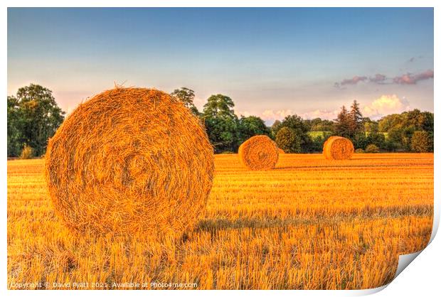 Sunset Farm Harvest  Print by David Pyatt