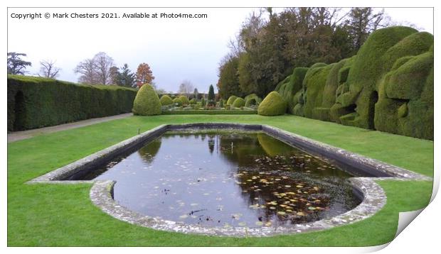 Enchanting Topiary and Lilly Pond Print by Mark Chesters
