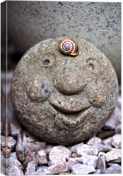 Happy Face Canvas Print by Stephen Hamer