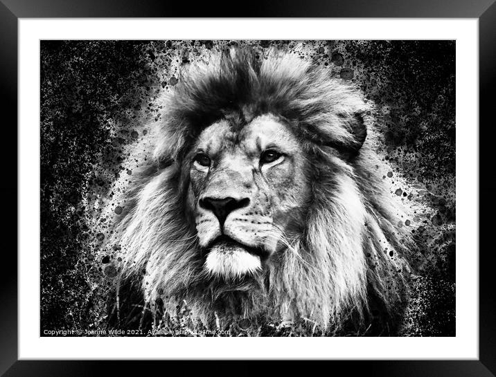 Lion King Framed Mounted Print by Joanne Wilde