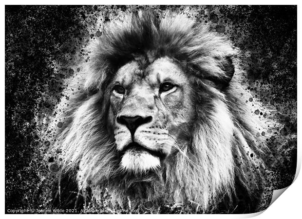 Lion King Print by Joanne Wilde