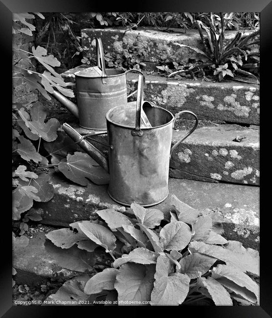 Old watering cans on stone steps Framed Print by Photimageon UK