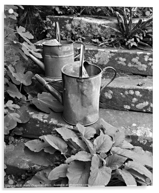 Old watering cans on stone steps Acrylic by Photimageon UK