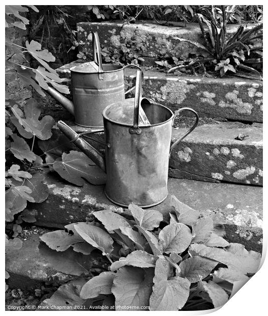 Old watering cans on stone steps Print by Photimageon UK