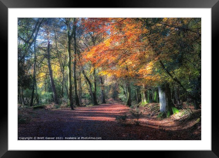 New Forest Autumn Path Framed Mounted Print by Brett Gasser