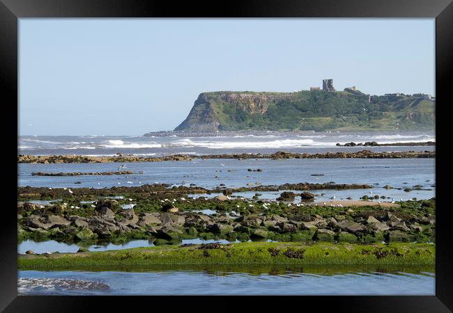 Scarborough Castle  Framed Print by chris smith