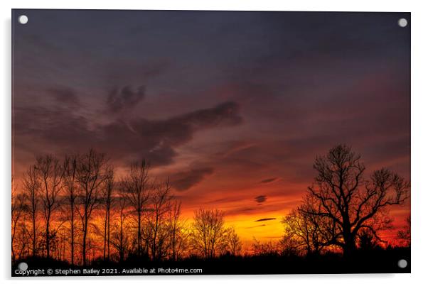 English sunset Acrylic by Stephen Bailey