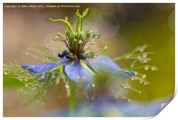 dancing in the rain, Love in a mist Print by kathy white