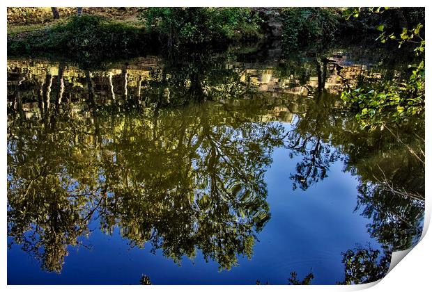 Reflections on the water, the forest Print by Jose Manuel Espigares Garc