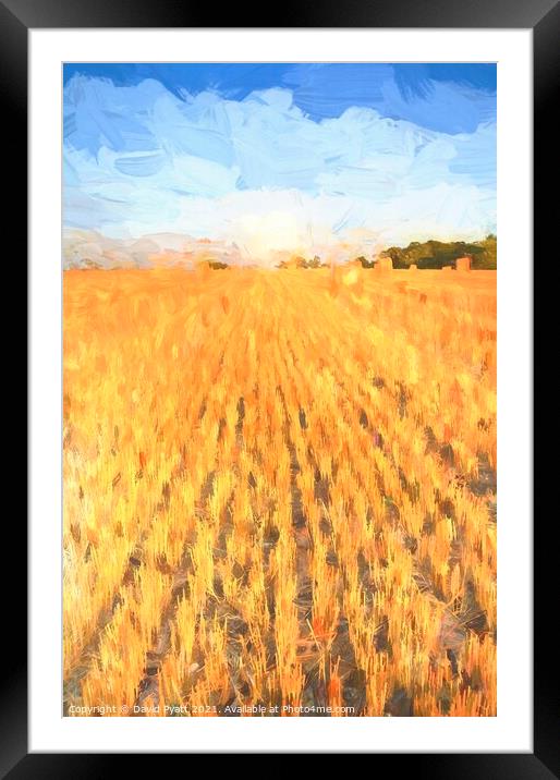 Summer Harvest Art Framed Mounted Print by David Pyatt
