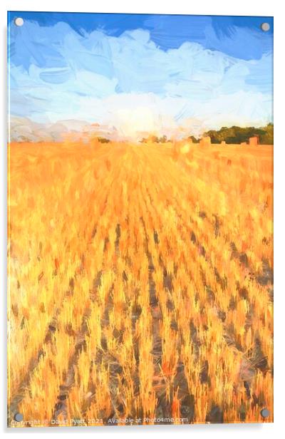 Summer Harvest Art Acrylic by David Pyatt