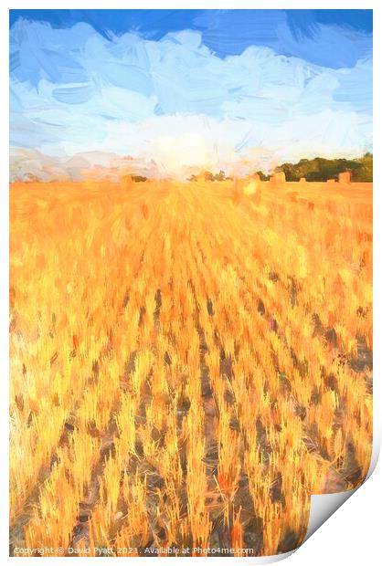 Summer Harvest Art Print by David Pyatt