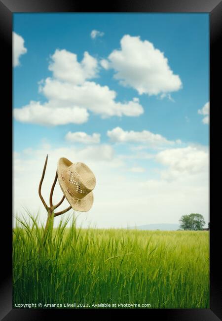 The Straw Hat Framed Print by Amanda Elwell