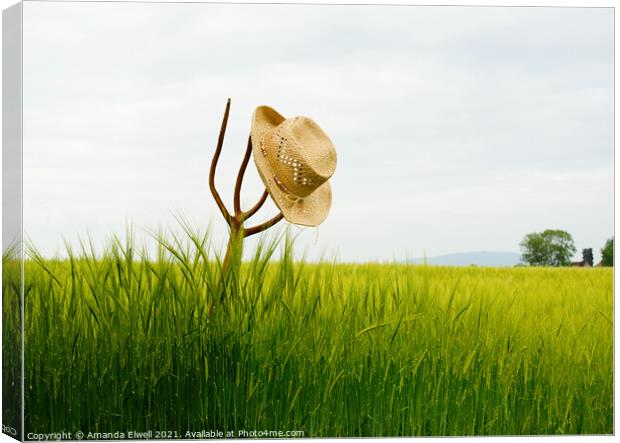 Straw Hat In Landscape Canvas Print by Amanda Elwell