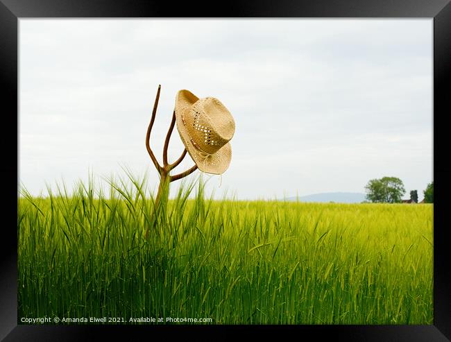 Straw Hat In Landscape Framed Print by Amanda Elwell