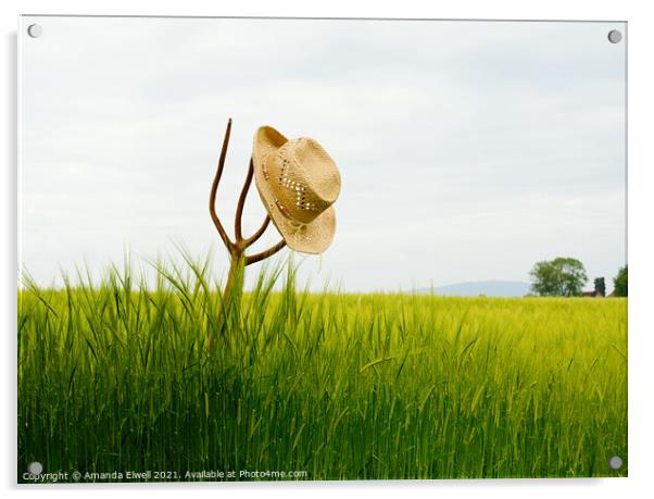 Straw Hat In Landscape Acrylic by Amanda Elwell