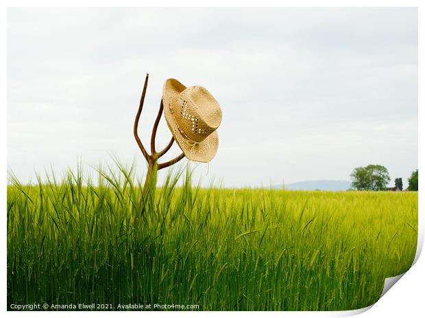 Straw Hat In Landscape Print by Amanda Elwell