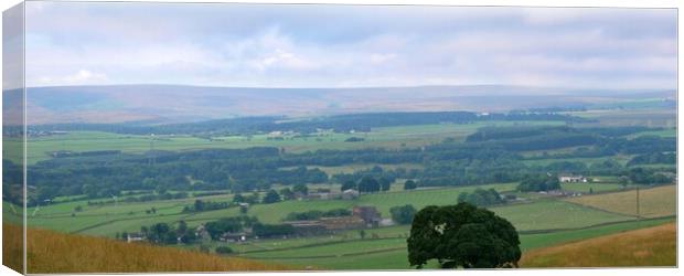 Yorkshire Moorland landscape Canvas Print by Roy Hinchliffe