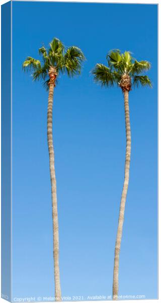Idyllic Palm trees | upright panoramic view Canvas Print by Melanie Viola
