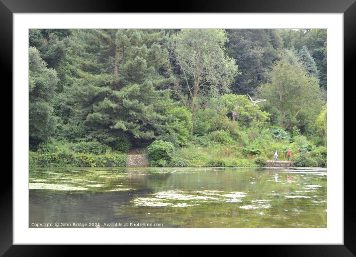 Cockington Lake Framed Mounted Print by John Bridge