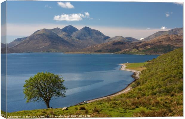 Cuillin View from North Fearns Isle of Raasay Scot Canvas Print by Barbara Jones