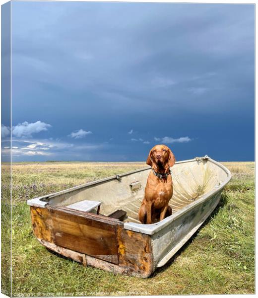 Dog in a boat, Brancaster, Norfolk Canvas Print by suzie Attaway