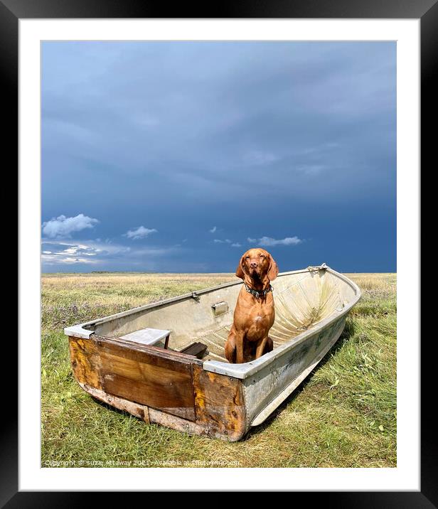 Dog in a boat, Brancaster, Norfolk Framed Mounted Print by suzie Attaway