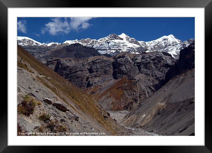 Scenery near Thorung Phedi Framed Mounted Print by Serena Bowles