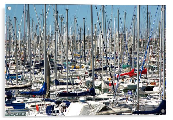 A Forest of Sails Acrylic by Roger Mechan