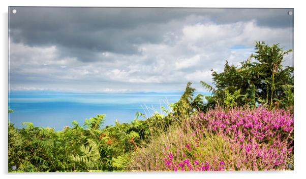  North Devon Sea View Acrylic by Jeremy Sage