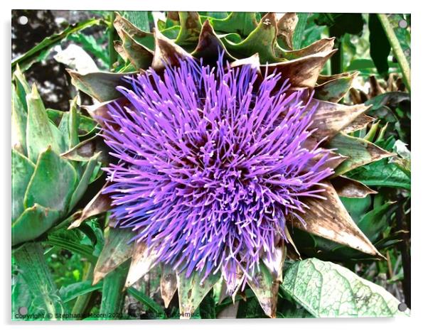 Purple Artichoke Flower Acrylic by Stephanie Moore