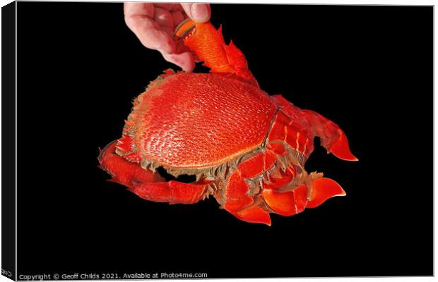 Seafood serving of cooked Spanner or Red Frog Crab. Canvas Print by Geoff Childs