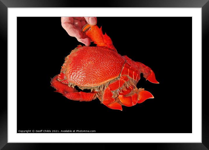 Seafood serving of cooked Spanner or Red Frog Crab. Framed Mounted Print by Geoff Childs