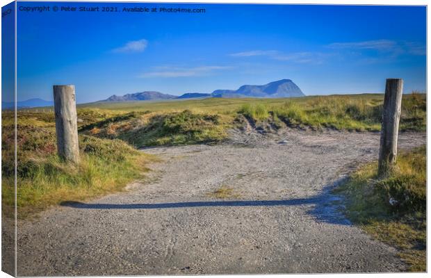 Ben Loyal from the Moine House Canvas Print by Peter Stuart