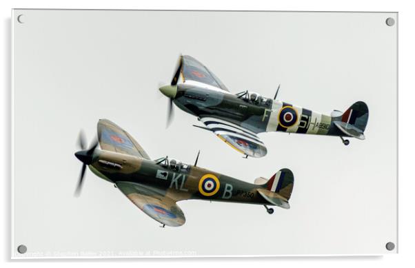 Battle of Britain Acrylic by Stephen Bailey