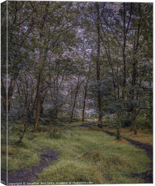 A Path Out Canvas Print by Jonathan Bird
