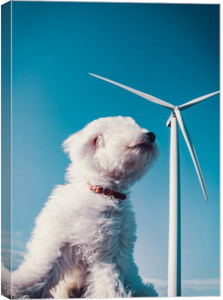 Wind turbine in the wind Canvas Print by Laurent Renault